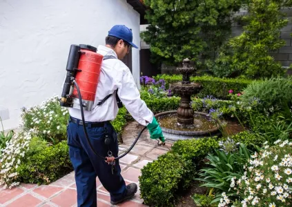 the bugman exterminator spraying a garden