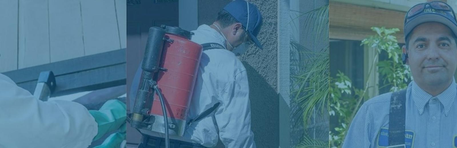 Pest Control Job Openings in Anaheim, CA the bugman