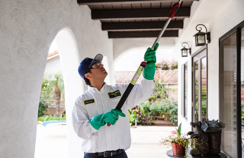 the bugman exterminator servicing a home